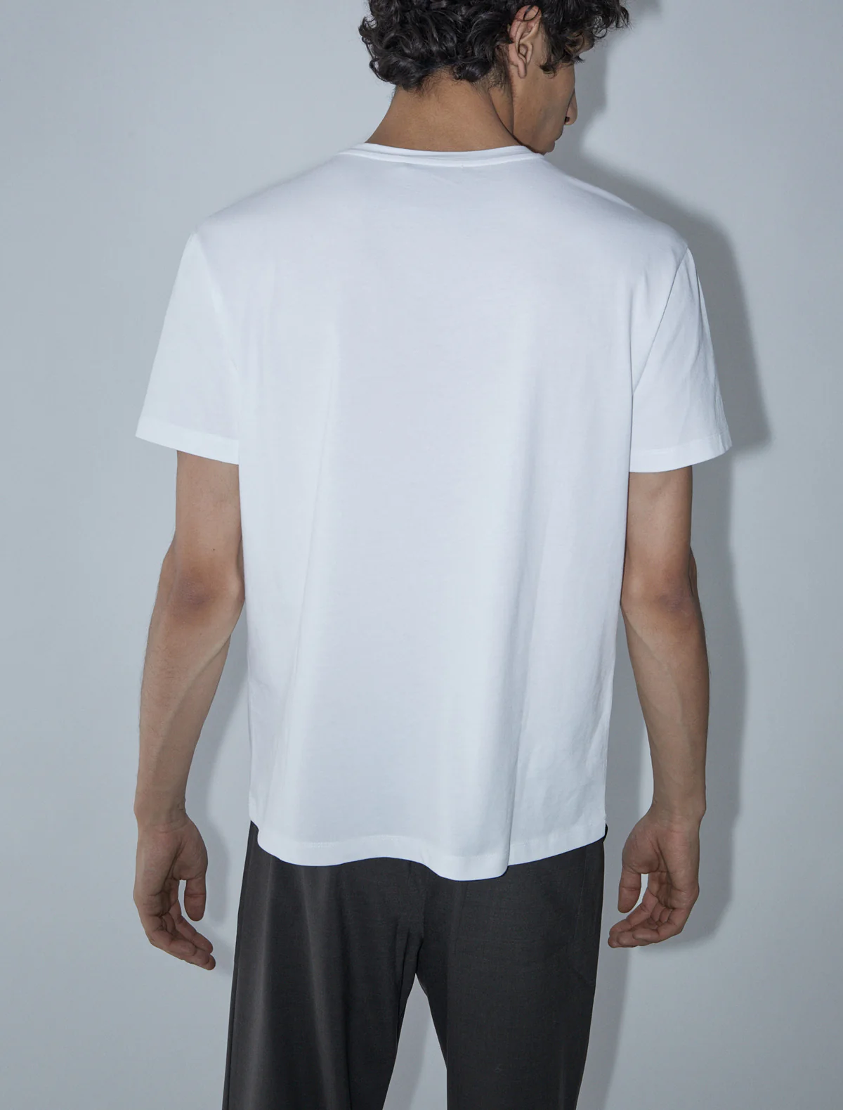no 2435 / Amici B - Image 4