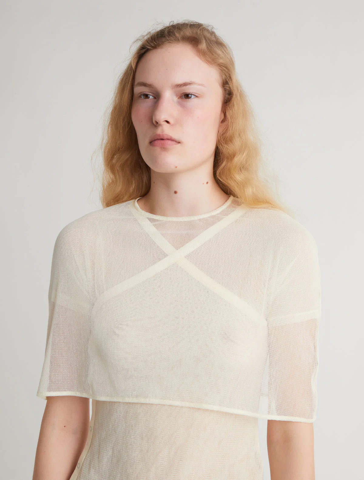 no 2847 / Boldo - Image 3