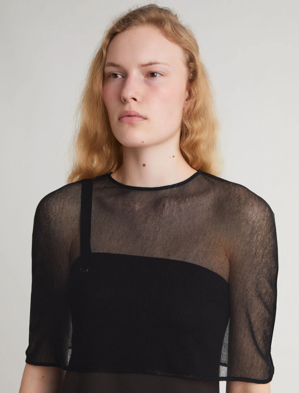 no 2847 / Boldo - Image 3