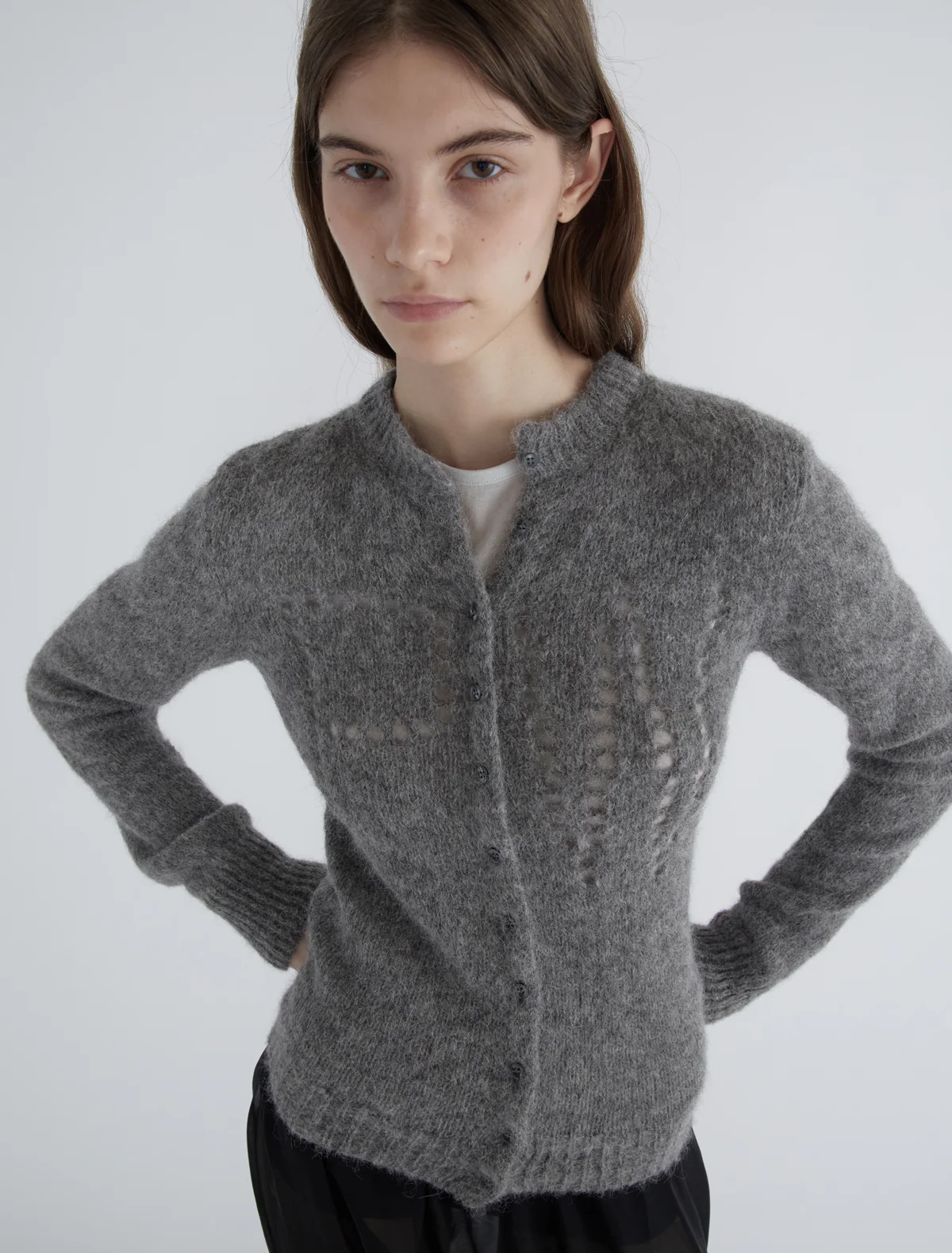 no 2583 / Dove - Image 6