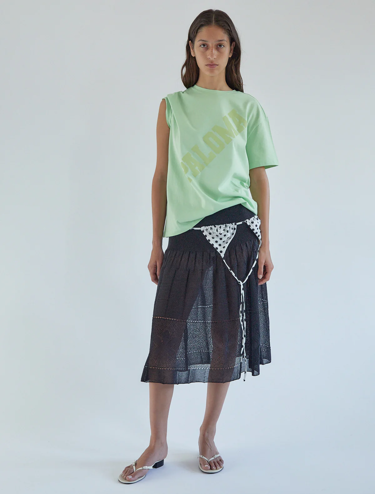 no 1651 / Paloma - Image 3