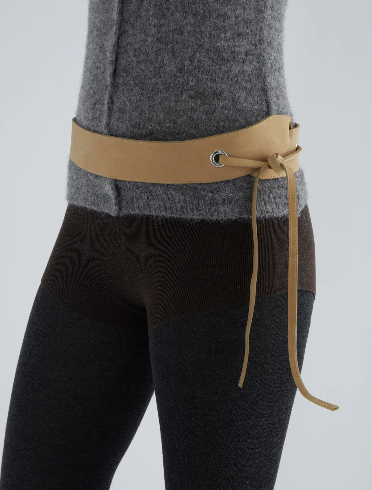 no 2629 / Trot - Image 3